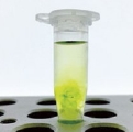 3015040597207681.jpg ClearSee™