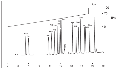 氨基酸分析柱