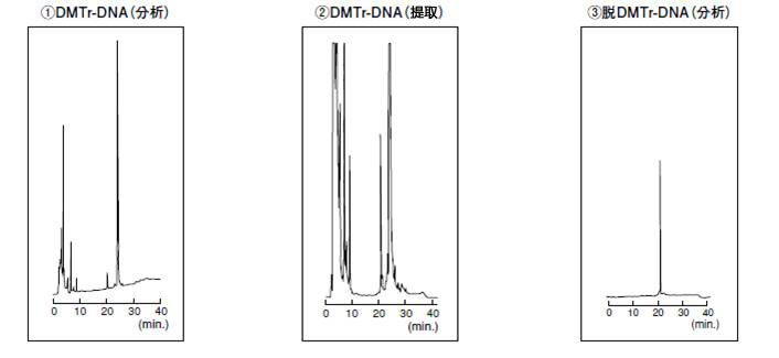 低聚核苷酸分析提取专用色谱柱