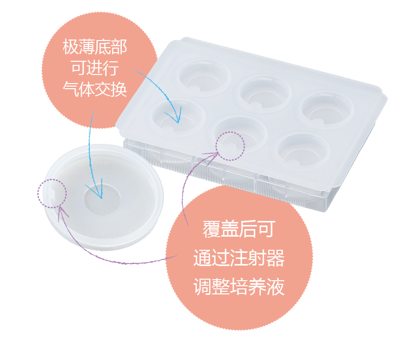 iP-TEC® 培养皿·微孔板用运输设备
