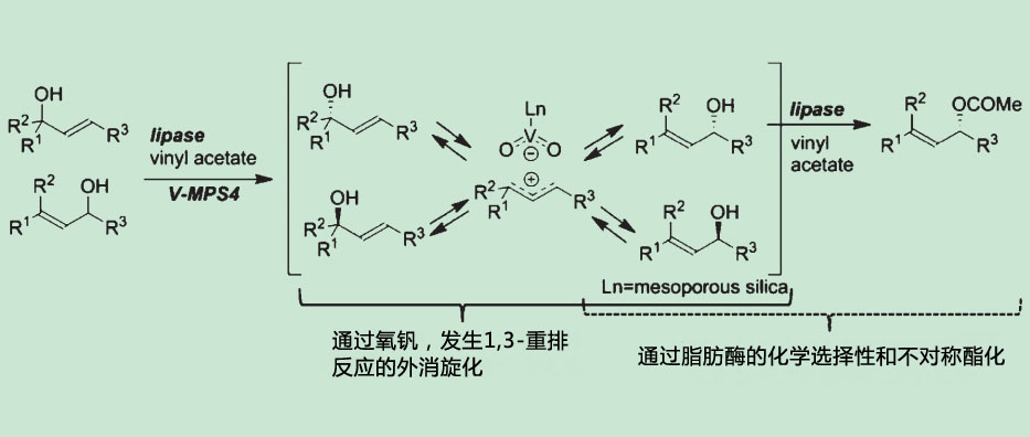 V-MPS4