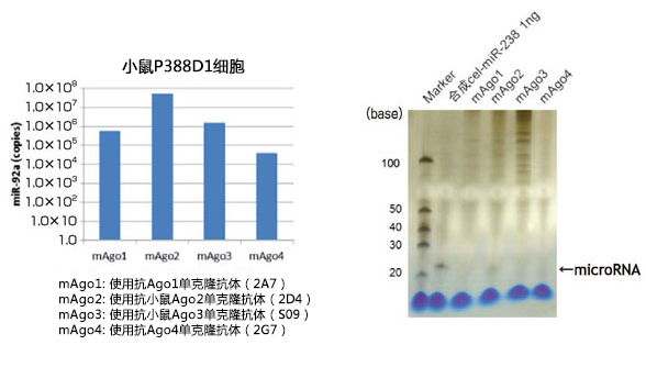 MagCapture™ microRNA分离试剂盒系列