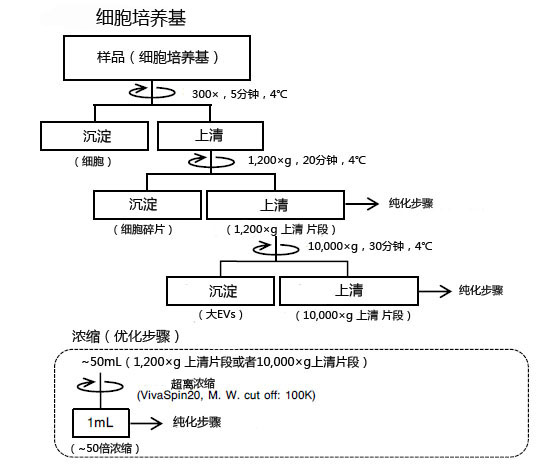 MagCapture™ 外泌体提取试剂盒