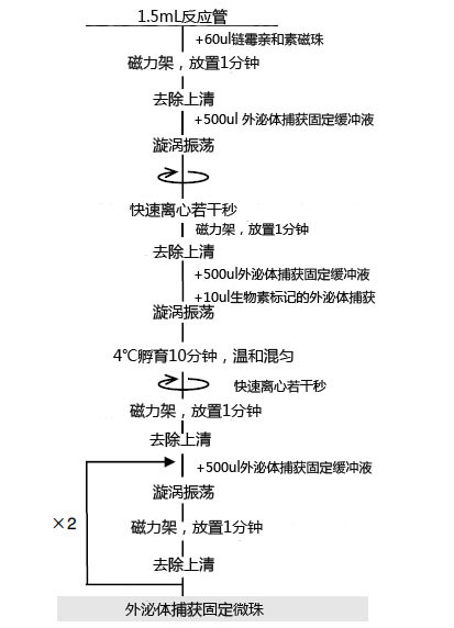 MagCapture™ 外泌体提取试剂盒