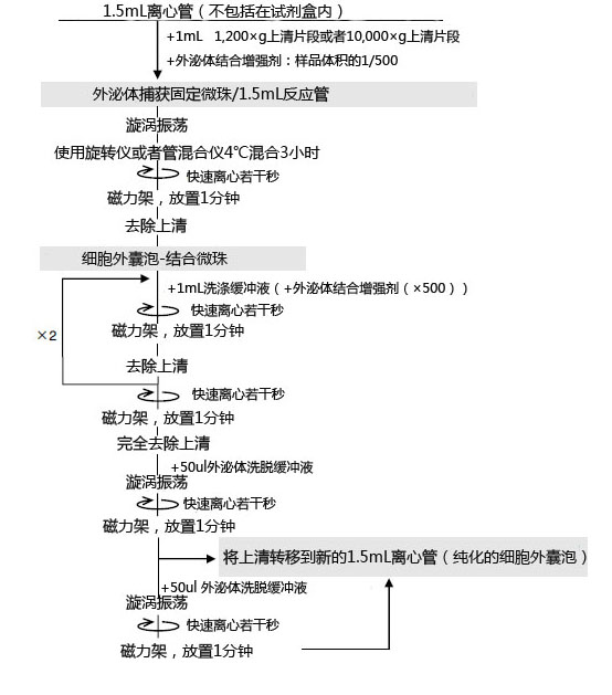 MagCapture™ 外泌体提取试剂盒