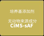 CiMS™ 人间充质干细胞用无血清培养基