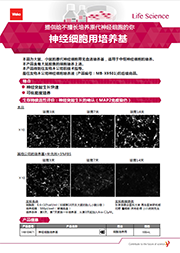 神经细胞用培养基