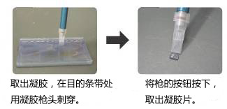 长单链DNA（ssDNA）制备试剂盒