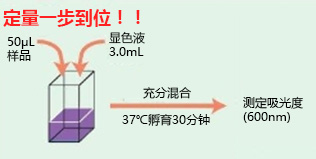 蛋白质快速测定试剂盒Wako II