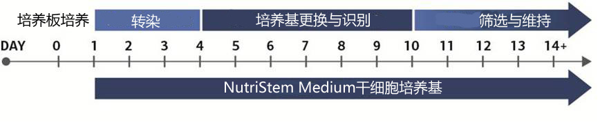 Stemgent RNA™ -NM重编程试剂盒