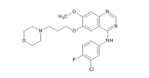 EGFR酪氨酸激酶抑制剂——吉非替尼