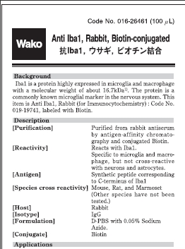 兔源Iba1抗体，有标签