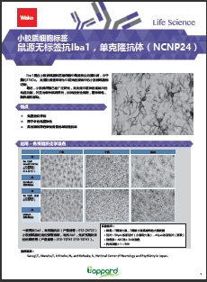 鼠源Iba1抗体，无标签，单克隆抗体（NCNP24）