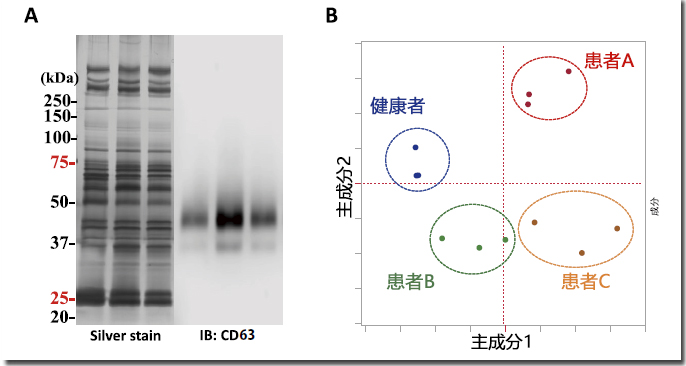 第4回 外泌体糖链分析建议