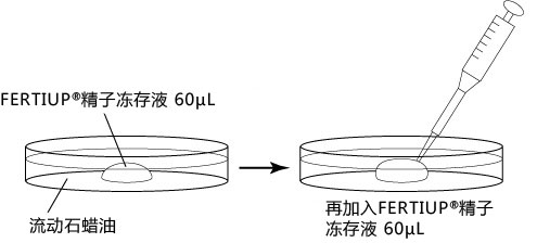 小鼠生殖工程学技术——1精子的冻存
