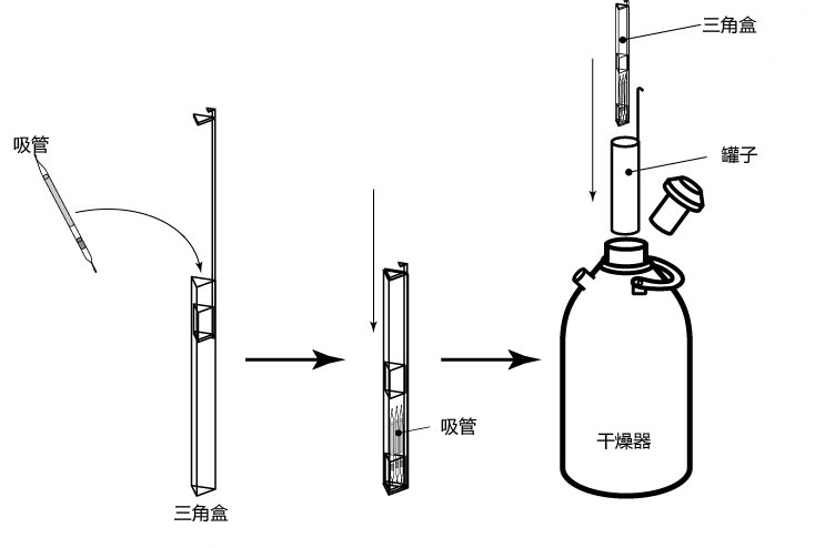 小鼠生殖工程学技术——1精子的冻存