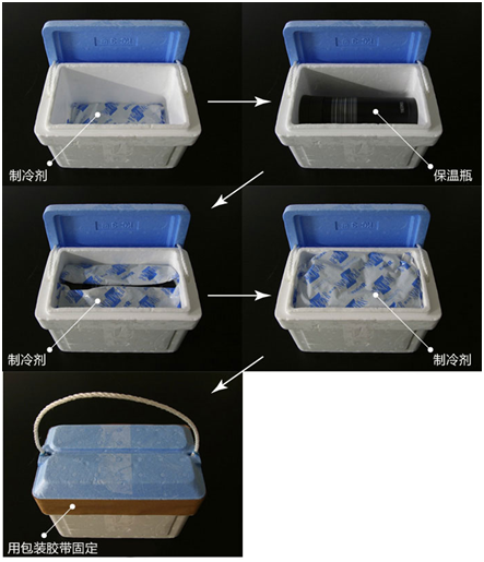 小鼠生殖工程学技术——5冻存运输小鼠２细胞期胚胎
