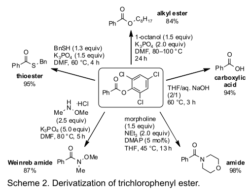 使用新型一氧化碳合成等价物进行实用羧基化反应的研究