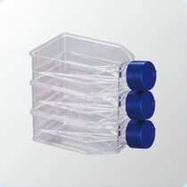 P25三博特 iPTEC iPS细胞运输用Flask25细胞培养瓶P25-三博特iPTEC 细胞运输系列