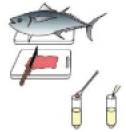 食品分析食品安全日本Kikkoman食品分析显色法检测组胺试剂盒-食品分析
