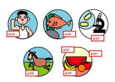 PD30卫生检测食品检测——KikkomanATP荧光检测仪PD30-ATP荧光检测仪