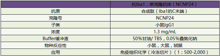 NCNP24鼠源无标签抗Iba1，单抗（NCNP24）-疾病研究