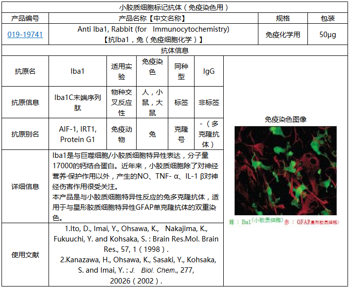 01919741小胶质/巨噬细胞特异性蛋白抗Iba1抗体，兔-疾病研究