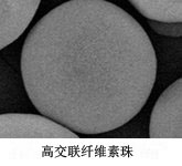 KANEKA KanCapA&trade; 新标准抗体纯化树脂-细胞培养