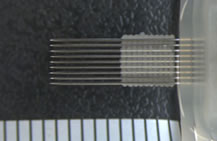 PrimeSurface低吸附细胞培养板-细胞培养板