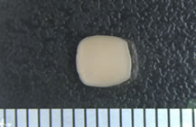 PrimeSurface低吸附细胞培养板-细胞培养板