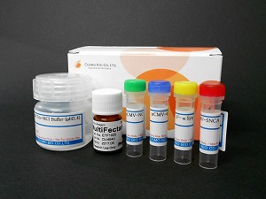 α突触核蛋白聚集检测试剂盒-疾病研究