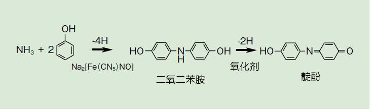 LabAssay™ Ammonia 动物样本的氨检测用-WAKO和光纯药