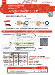 PS Capture™ 外泌体流式试剂盒-WAKO和光纯药