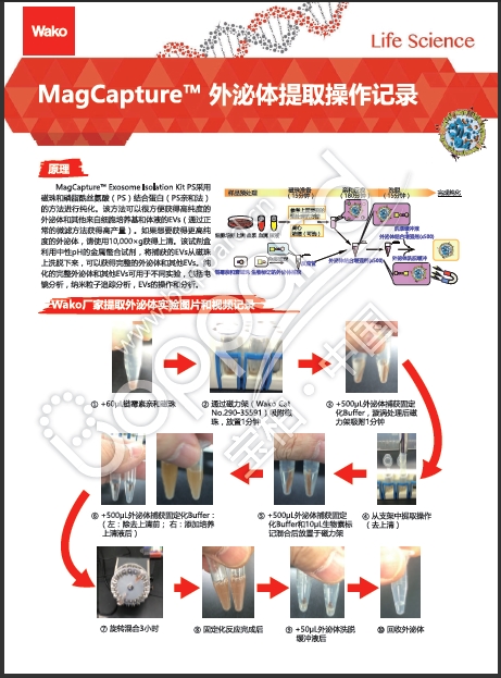 PS Capture™ 外泌体流式试剂盒-WAKO和光纯药