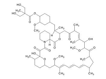 替西罗莫斯  mTOR抑制剂 Temsirolimus (mixture of isomers)-WAKO和光纯药
