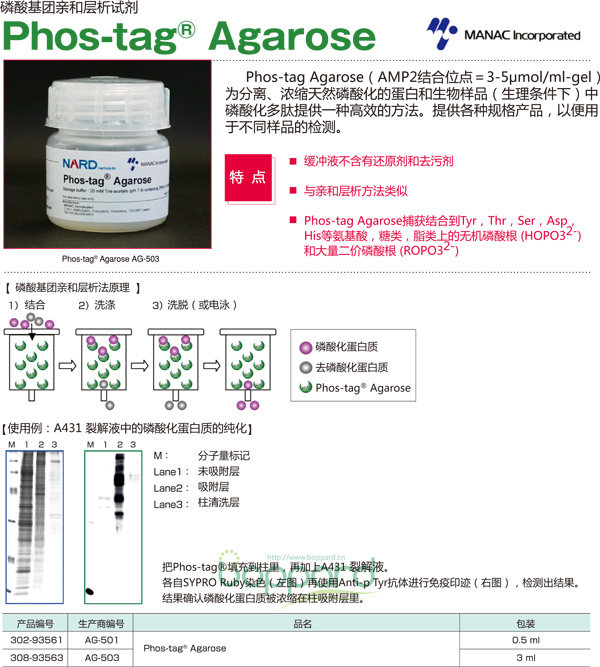 琼脂糖磷酸基团亲和层析试剂 Phos-tag Agarose-WAKO和光纯药