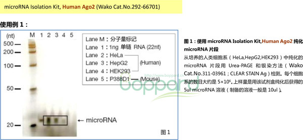microRNA分离试剂盒 microRNA Isolation Kit, Human Ago2-WAKO和光纯药