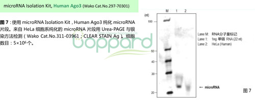 microRNA分离试剂盒 microRNA Isolation Kit, Human Ago3-WAKO和光纯药