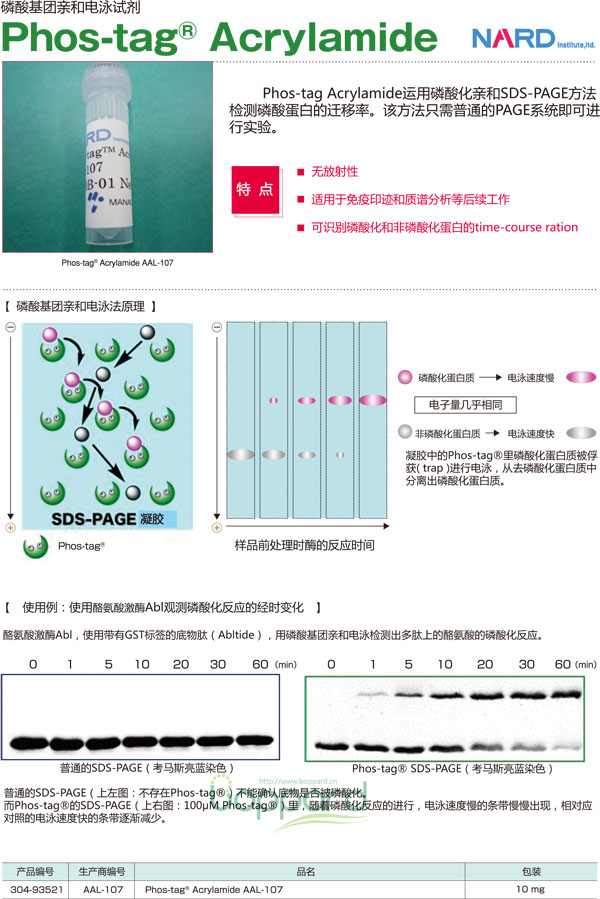 Phos-tag™ 丙烯酰胺-磷酸化蛋白检测-WAKO和光纯药
