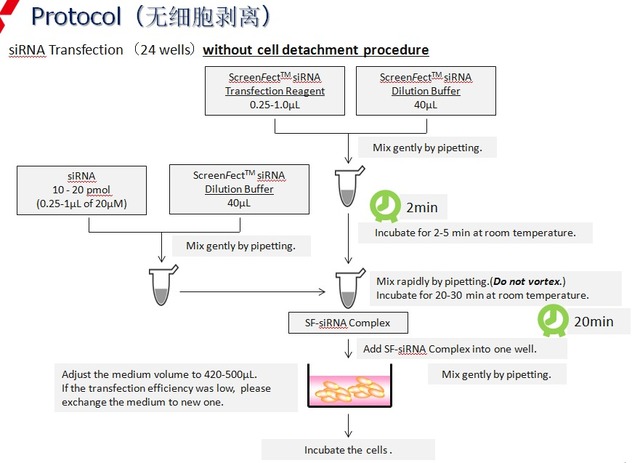 siRNA专用转染试剂ScreenFect™siRNA -WAKO和光纯药