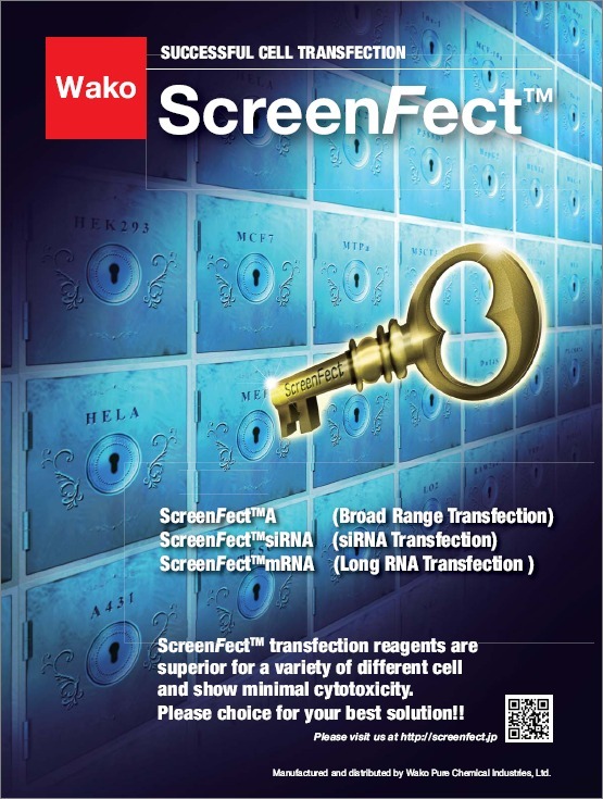 siRNA专用转染试剂ScreenFect™siRNA -WAKO和光纯药