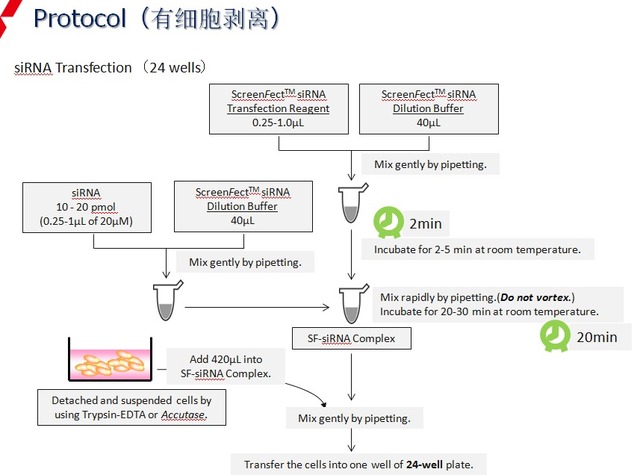 siRNA Transfection Reagent ScreenFect™siRNA-WAKO和光纯药