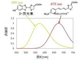 AkaLumineTM 近红外发光荧光素类似物 -WAKO和光纯药