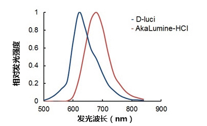 AkaLumine-HCl高穿透荧光素实现生物体内部深层活体成像