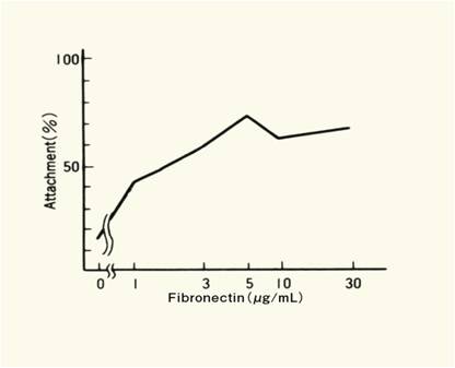 人血浆源纤维链接蛋白溶液  Fibronectin Solution, from Human Plasma -WAKO和光纯药