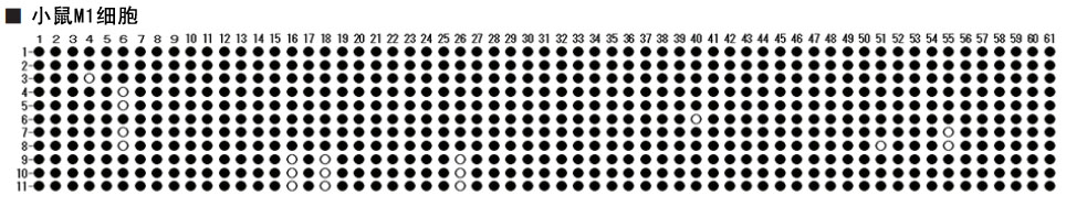 EpiSight™ BisulTaq™ DNA Polymerase, recombinant, Solution Ver.2-WAKO和光纯药