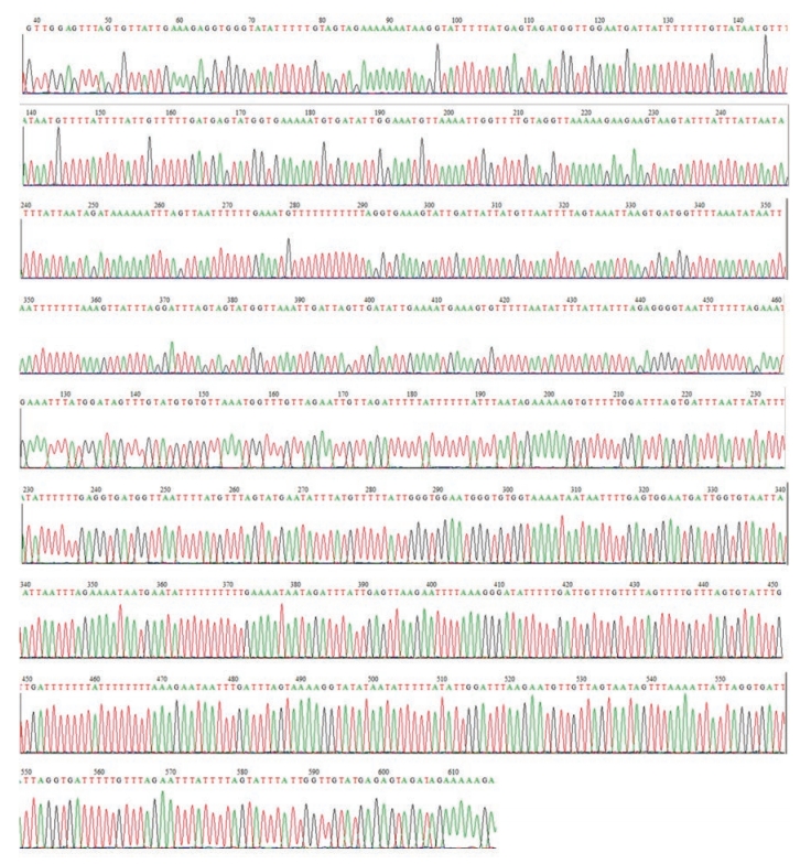 EpiSight™ BisulTaq™ DNA Polymerase, recombinant, Solution Ver.2-WAKO和光纯药