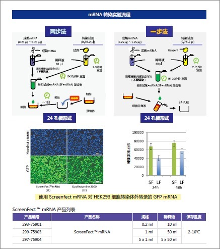 mRNA&amp;长链RNA转染试剂ScreenFect™mRNA-WAKO和光纯药