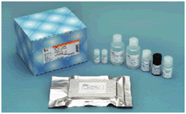 人淀粉样蛋白抗体（1-40）ELISA试剂盒 -WAKO和光纯药