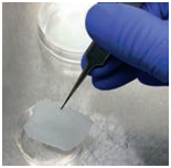 iP-TEC® 细胞片运输容器φ38、φ50-SANPLATEC